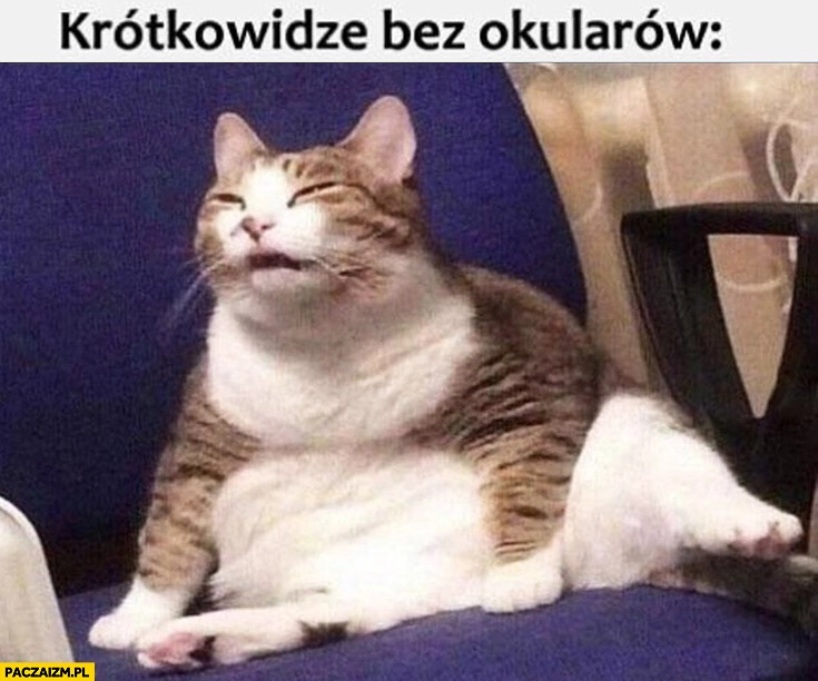 Krótkowidze bez okularów kot niedowidzi