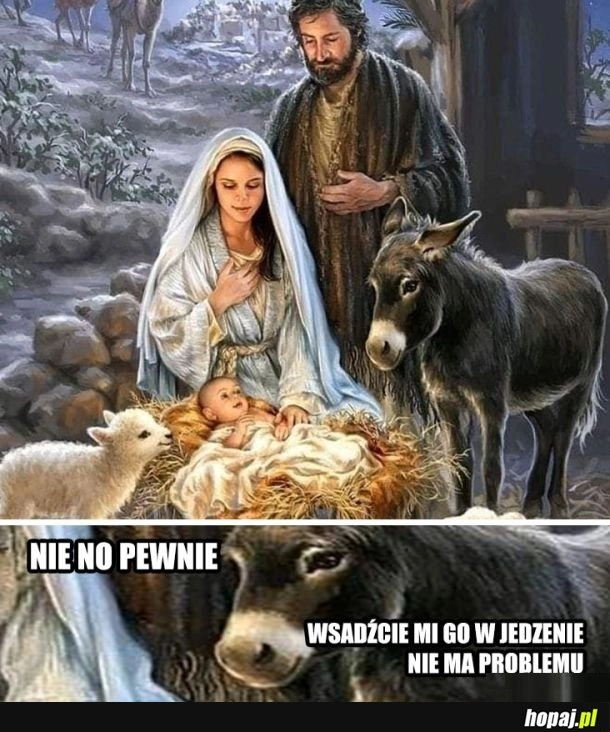 Nie no spoko luz