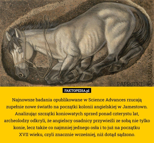 Najnowsze badania opublikowane w Science Advances rzucają zupełnie nowe