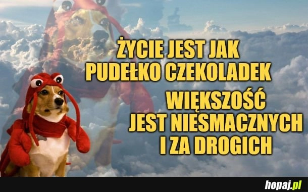 Pudełko