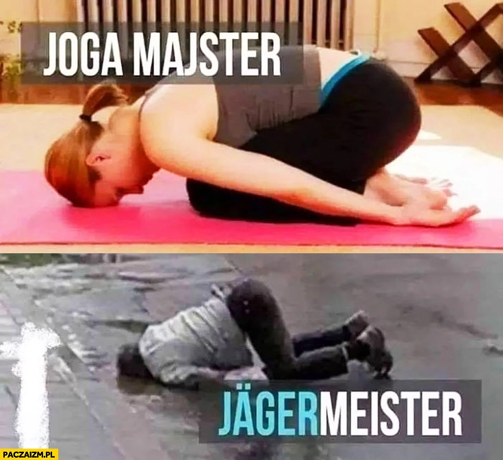 
    Joga majster, Jagermeister porównanie