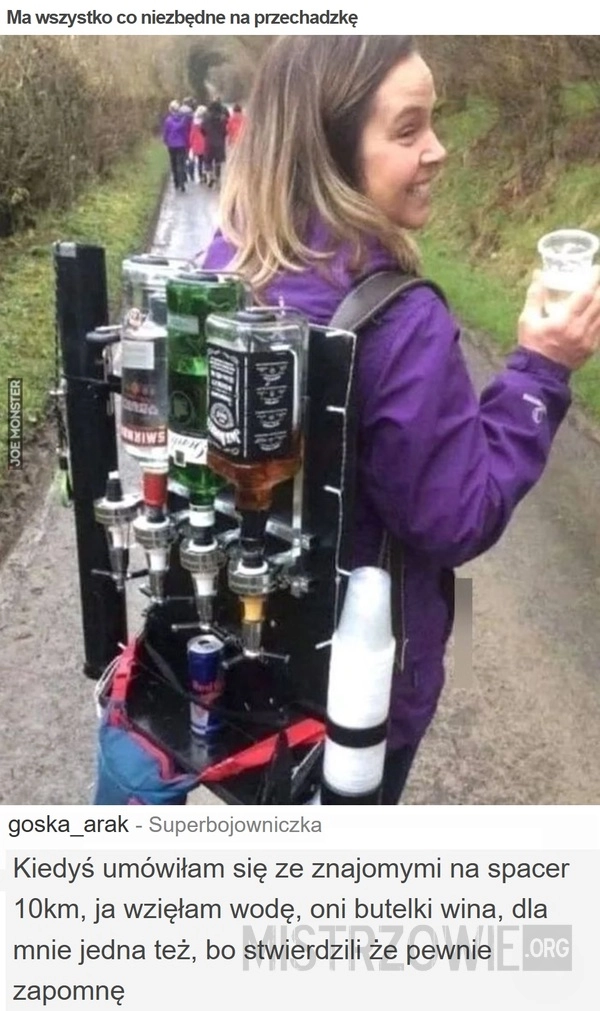 
    Ma wszystko co niezbędne na przechadzkę