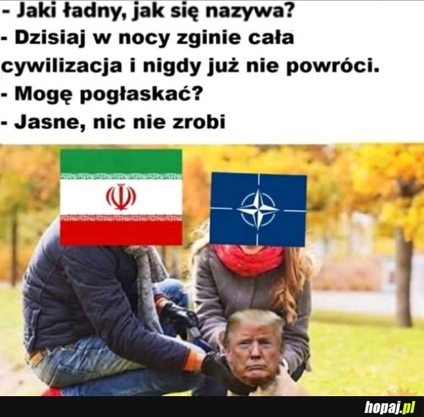
    Stary kapłon