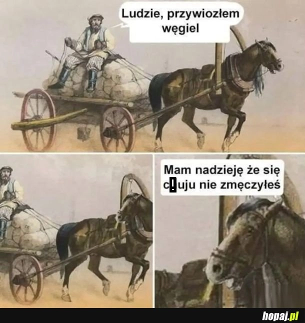 Przywiozłem węgiel