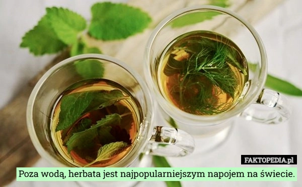 
    Poza wodą, herbata jest najpopularniejszym napojem na świecie.