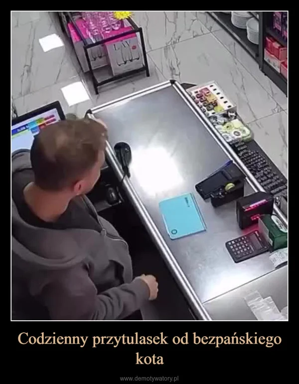 
    Codzienny przytulasek od bezpańskiego kota