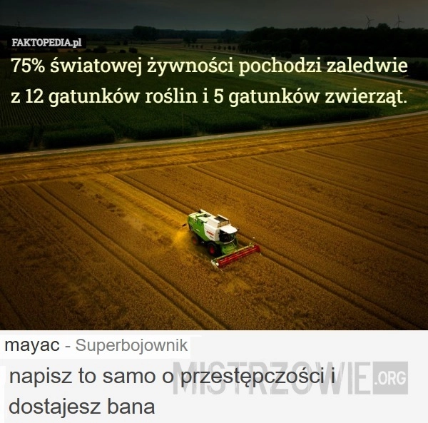 
    Żywność