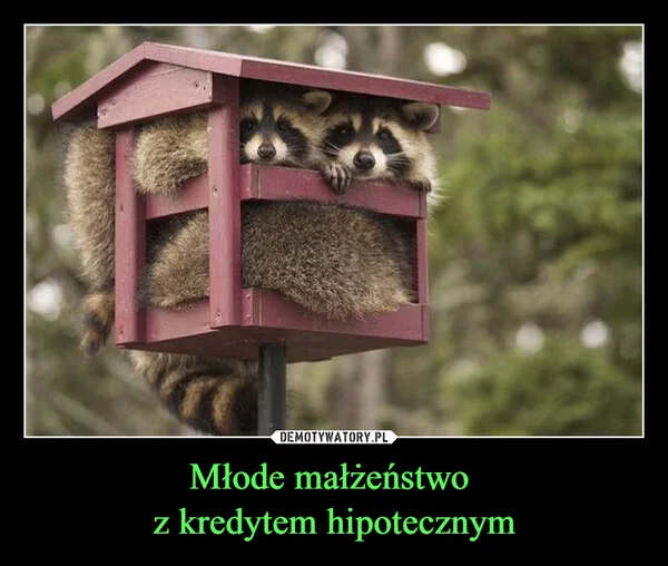 Młode małżeństwo z kredytem hipotecznym