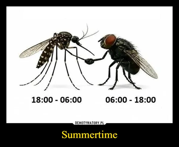 
    Summertime