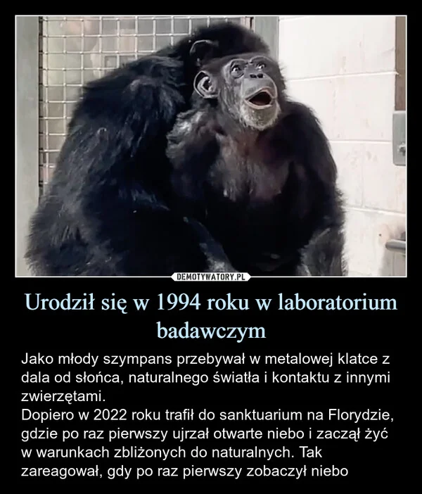 Urodził się w 1994 roku w laboratorium badawczym