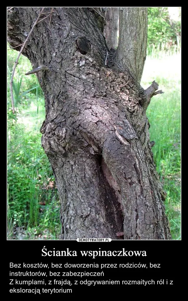 Ścianka wspinaczkowa