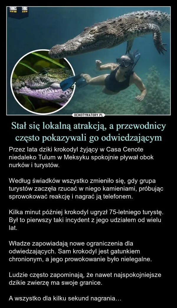 
    Stał się lokalną atrakcją, a przewodnicy często pokazywali go odwiedzającym