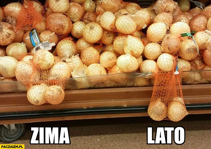 Zima vs lato porównanie jaja cebule w siatce