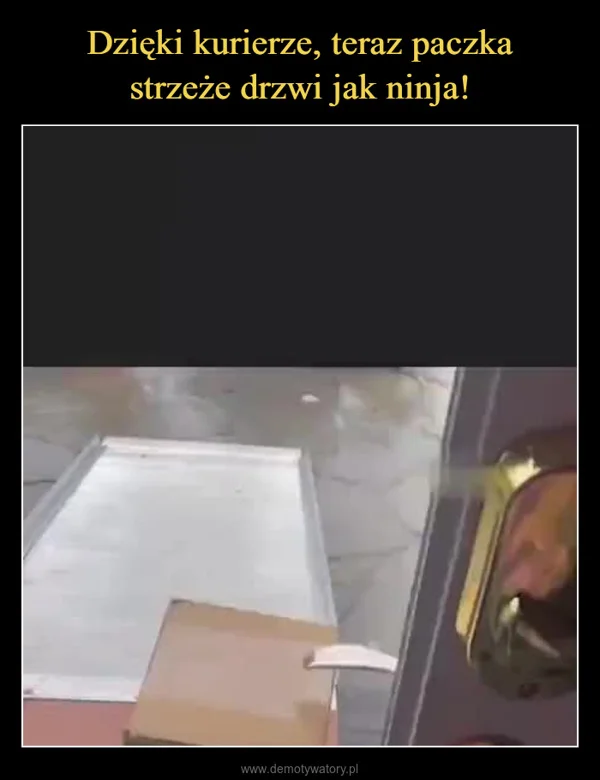 Dzięki kurierze, teraz paczka strzeże drzwi jak ninja!