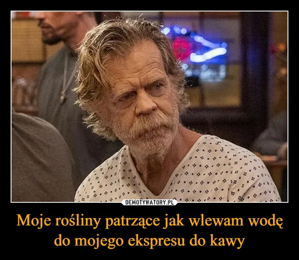 
    Moje rośliny patrzące jak wlewam wodę do mojego ekspresu do kawy