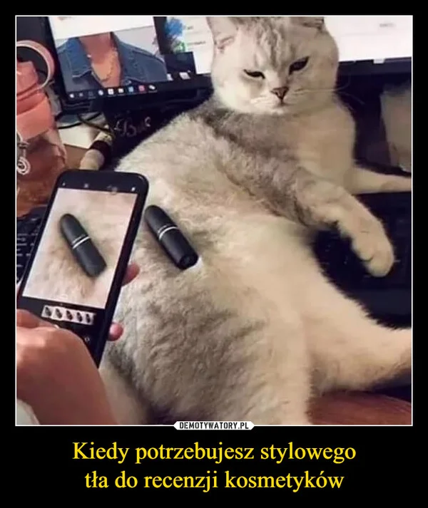 Kiedy potrzebujesz stylowego tła do recenzji kosmetyków