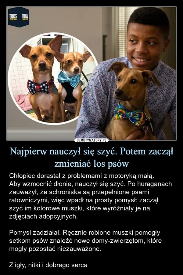 Najpierw nauczył się szyć. Potem zaczął zmieniać los psów