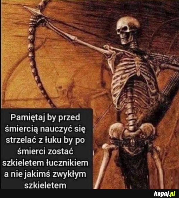 Szkielet łucznik