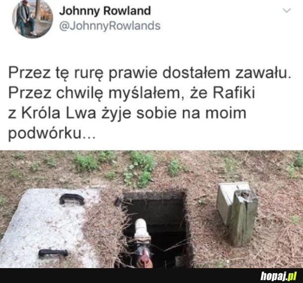 Przewidziało się