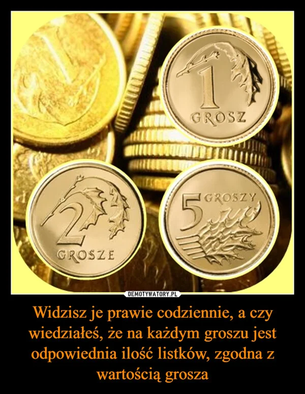 Widzisz je prawie codziennie, a czy wiedziałeś, że na każdym groszu jest odpowiednia ilość listków, zgodna z wartością grosza