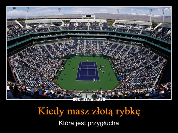 
    Kiedy masz złotą rybkę