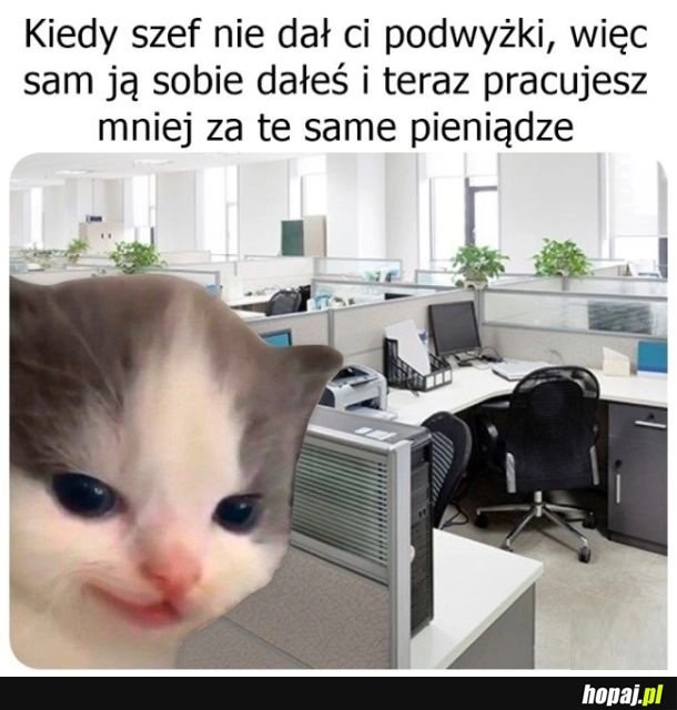 Podwyżka
