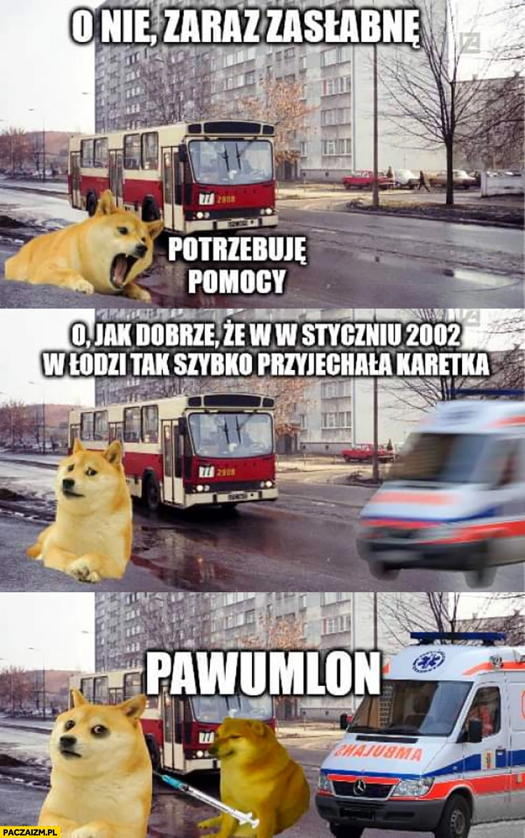 Zaraz zasłabnę potrzebuję pomocy dobrze, że w styczniu 2002 w Łodzi tak szybko przyjechała karetka pawulon pies pieseł doge