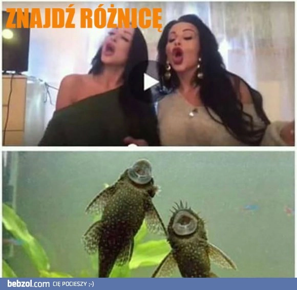 Znajdź różnicę :D 