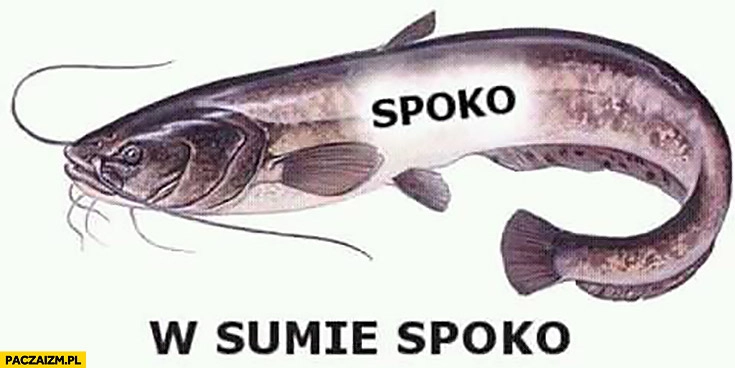 Spoko w sumie. Spoko sum