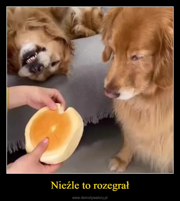 Nieźle to rozegrał