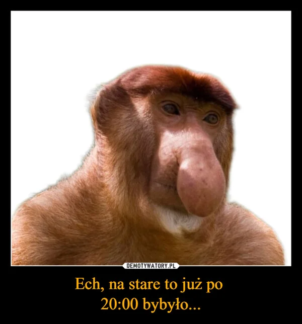 Ech, na stare to już po 20:00 bybyło...