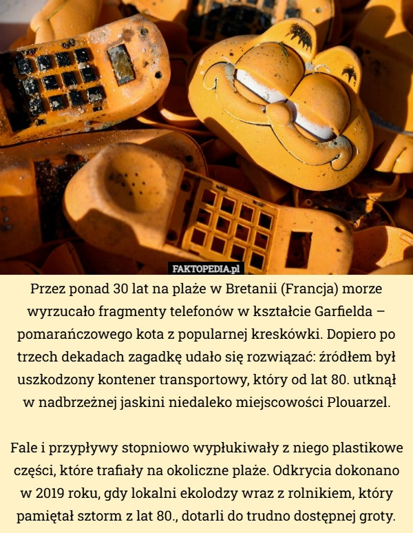 Przez ponad 30 lat na plaże w Bretanii (Francja) morze wyrzucało fragmenty...