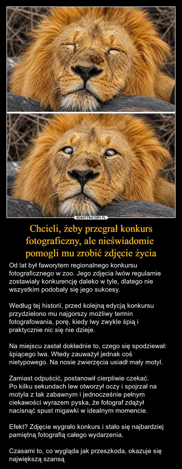 Chcieli, żeby przegrał konkurs fotograficzny, ale nieświadomie pomogli mu zrobić zdjęcie życia