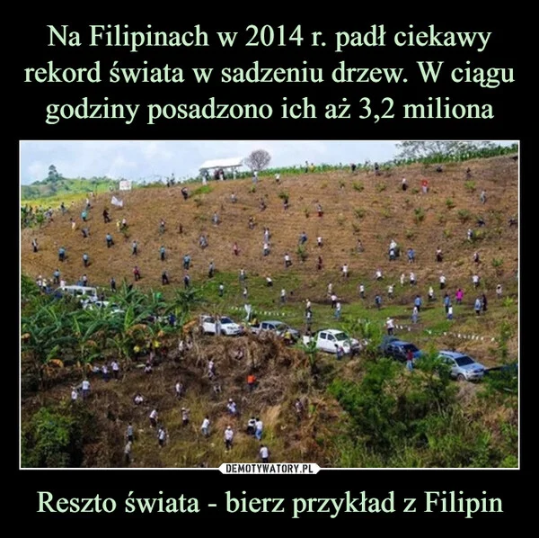 
    Na Filipinach w 2014 r. padł ciekawy rekord świata w sadzeniu drzew. W ciągu godziny posadzono ich aż 3,2 miliona Reszto świata - bierz przykład z Filipin