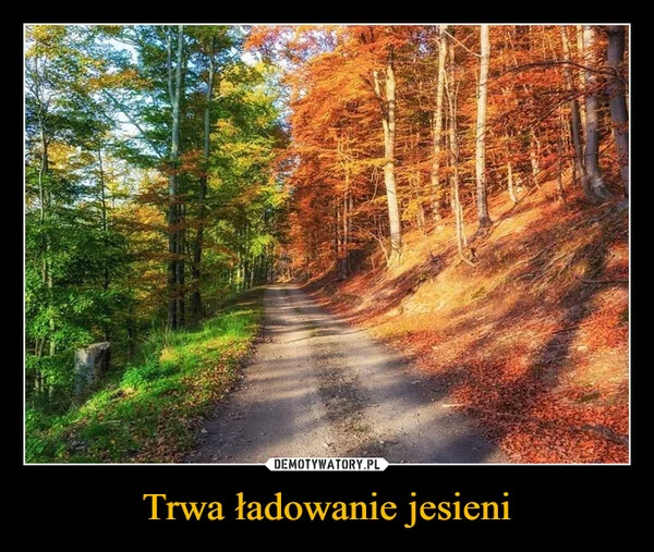 Trwa ładowanie jesieni