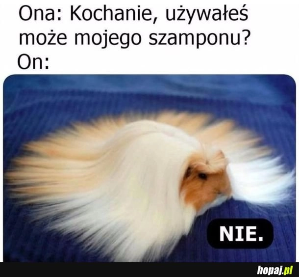 Nie używał