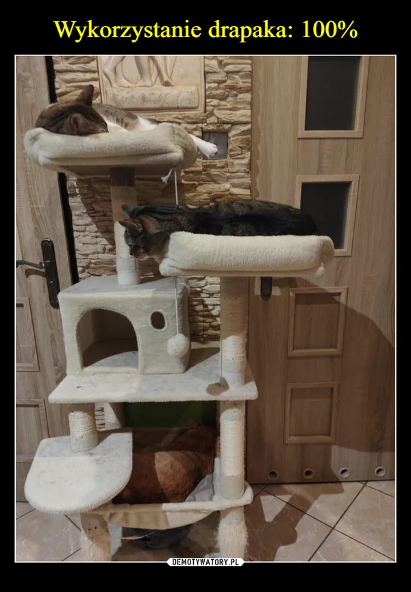 Wykorzystanie drapaka: 100%