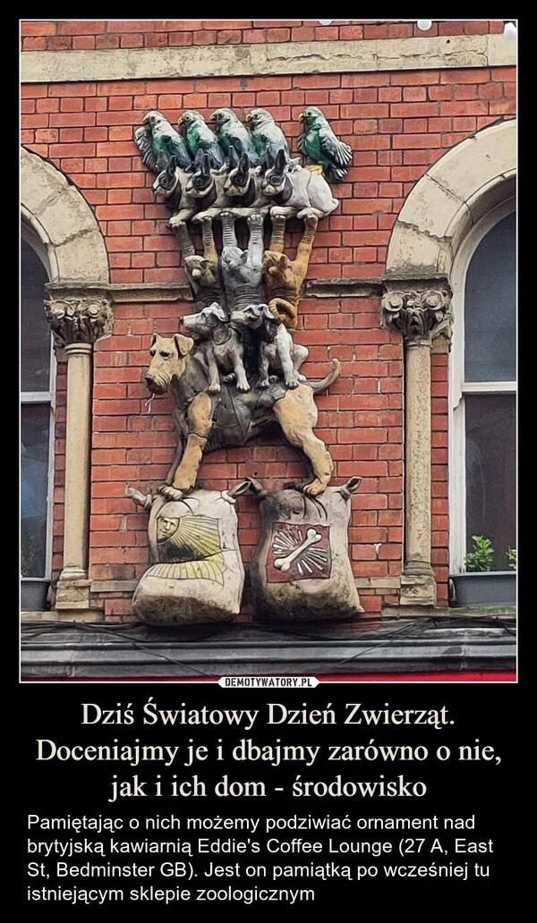 Dziś Światowy Dzień Zwierząt. Doceniajmy je i dbajmy zarówno o nie, jak i ich dom - środowisko