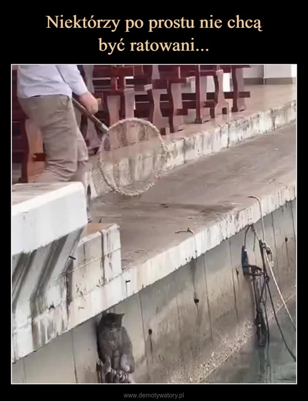 Niektórzy po prostu nie chcą być ratowani...