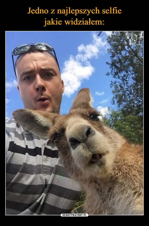 
    Jedno z najlepszych selfie jakie widziałem: