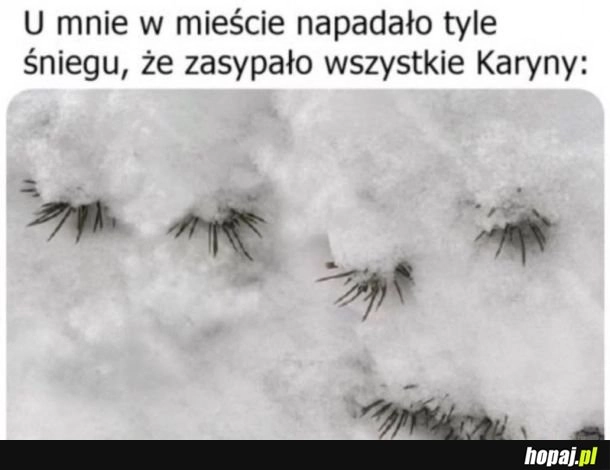 I znowu Karyny pod śniegiem