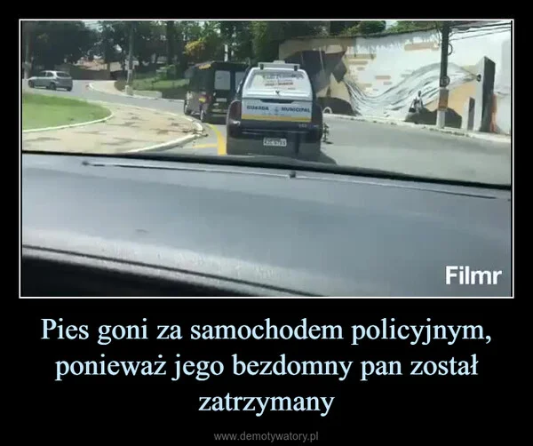 Pies goni za samochodem policyjnym, ponieważ jego bezdomny pan został zatrzymany