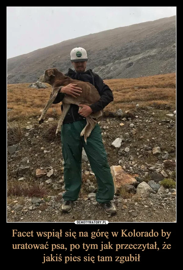 Facet wspiął się na górę w Kolorado by uratować psa, po tym jak przeczytał, że jakiś pies się tam zgubił