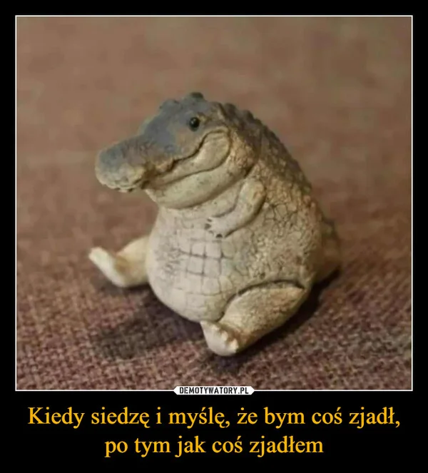Kiedy siedzę i myślę, że bym coś zjadł, po tym jak coś zjadłem