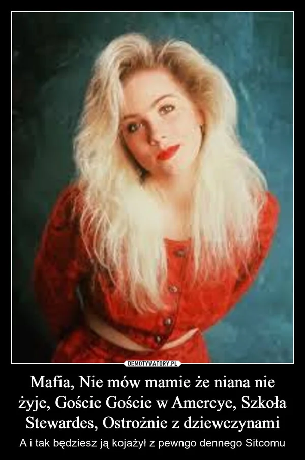 
    Mafia, Nie mów mamie że niana nie żyje, Goście Goście w Amercye, Szkoła Stewardes, Ostrożnie z dziewczynami