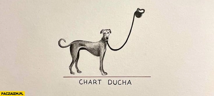 Chart ducha dosłownie pies którego panem jest duch hart