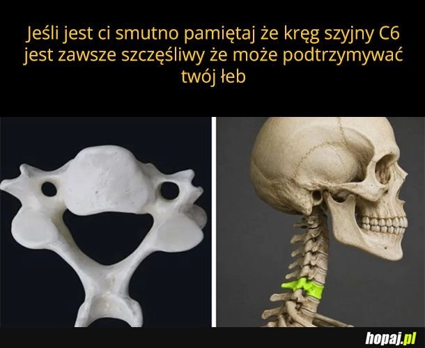 
    Wesoły kręg szyjny