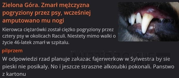 
    Pogryziony