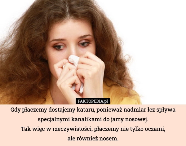 
    Gdy płaczemy dostajemy kataru, ponieważ nadmiar łez spływa specjalnymi kanalikami