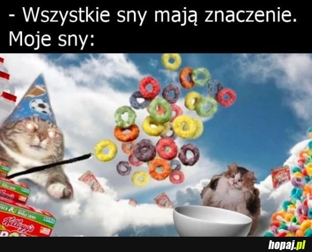 Sny